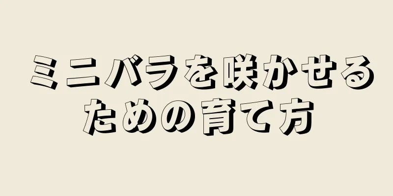 ミニバラを咲かせるための育て方