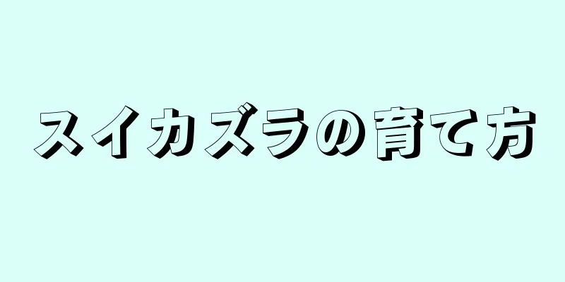 スイカズラの育て方