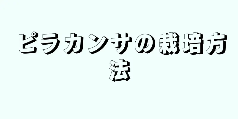 ピラカンサの栽培方法