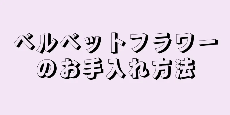 ベルベットフラワーのお手入れ方法