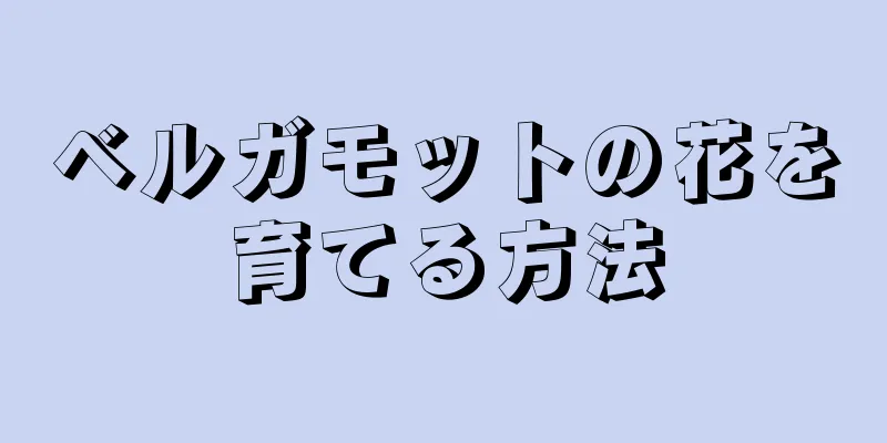 ベルガモットの花を育てる方法