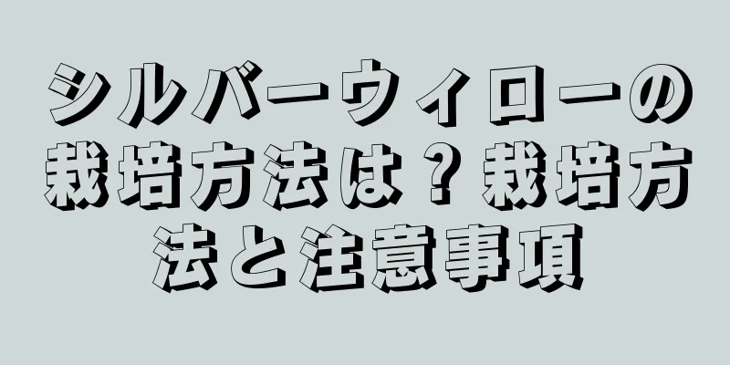 シルバーウィローの栽培方法は？栽培方法と注意事項