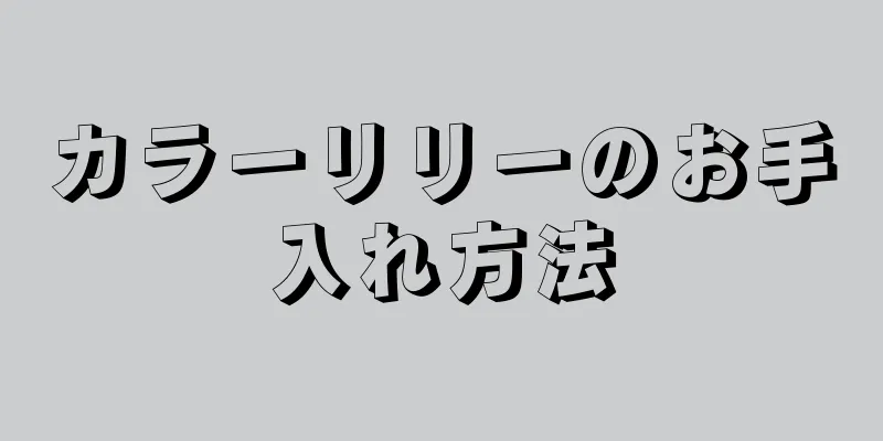 カラーリリーのお手入れ方法