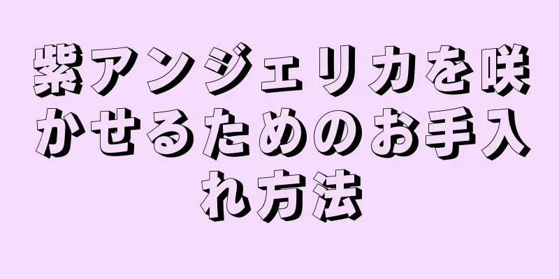 紫アンジェリカを咲かせるためのお手入れ方法