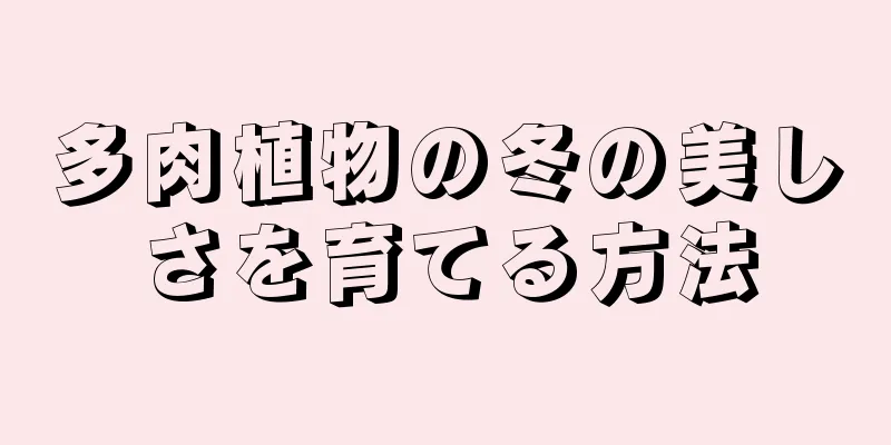 多肉植物の冬の美しさを育てる方法