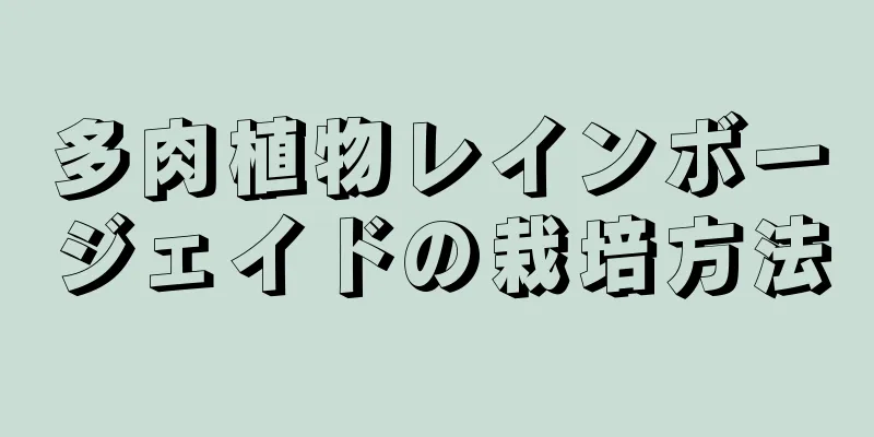 多肉植物レインボージェイドの栽培方法