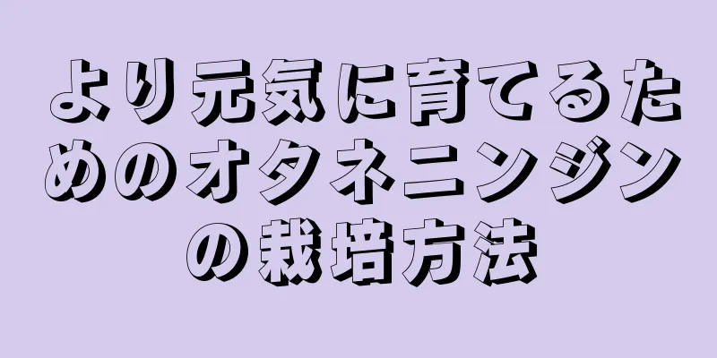 より元気に育てるためのオタネニンジンの栽培方法