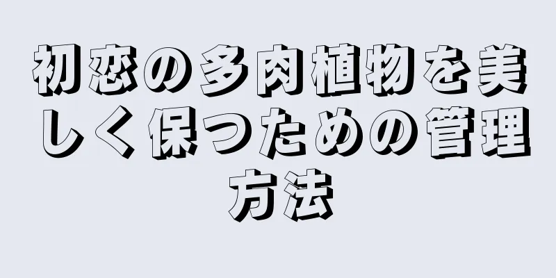 初恋の多肉植物を美しく保つための管理方法