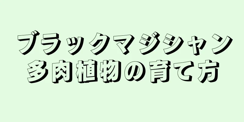 ブラックマジシャン多肉植物の育て方