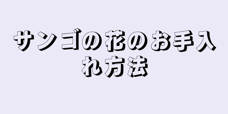 サンゴの花のお手入れ方法