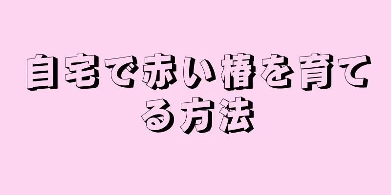 自宅で赤い椿を育てる方法