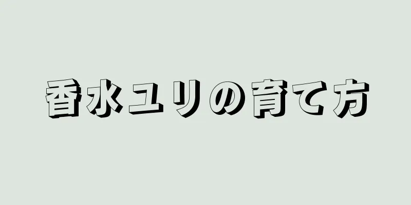 香水ユリの育て方