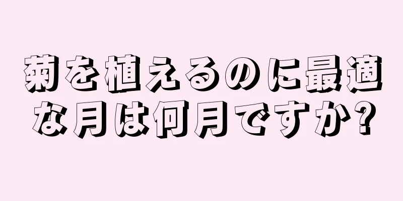 菊を植えるのに最適な月は何月ですか?
