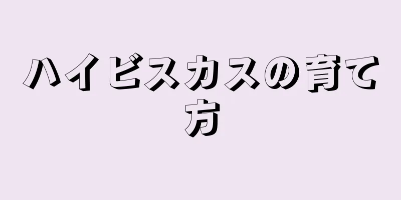 ハイビスカスの育て方