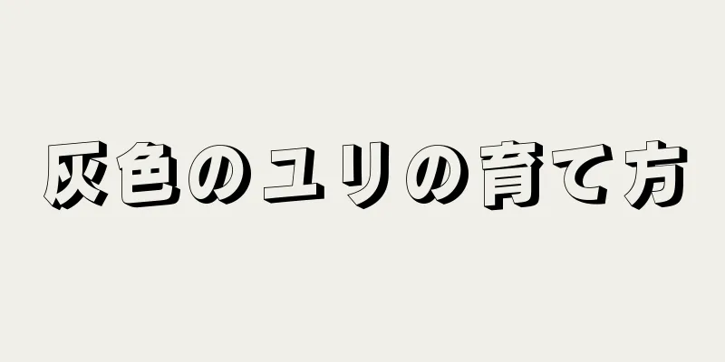 灰色のユリの育て方