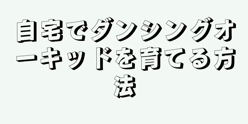 自宅でダンシングオーキッドを育てる方法