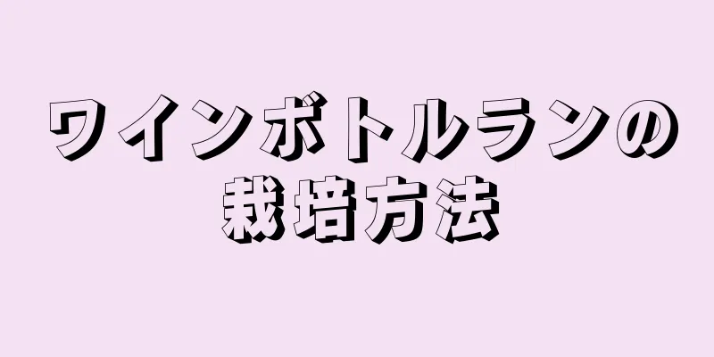 ワインボトルランの栽培方法