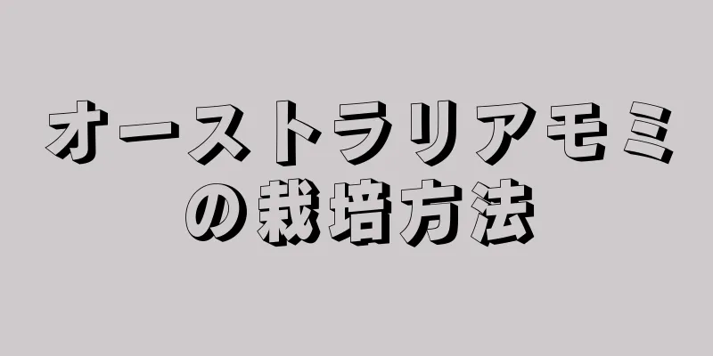 オーストラリアモミの栽培方法