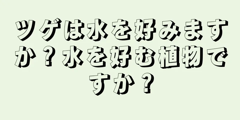 ツゲは水を好みますか？水を好む植物ですか？