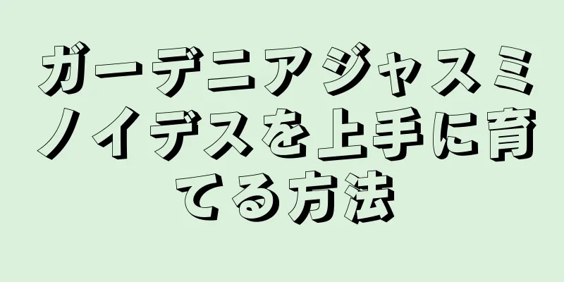ガーデニアジャスミノイデスを上手に育てる方法