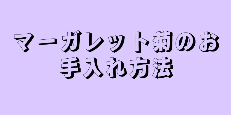 マーガレット菊のお手入れ方法