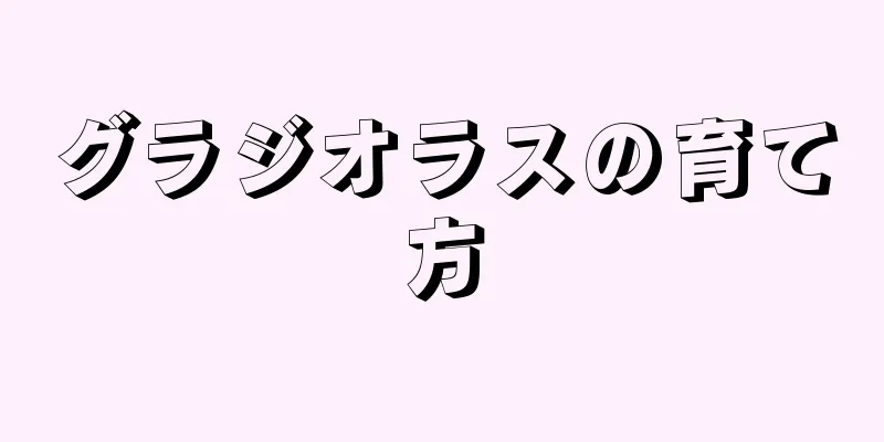 グラジオラスの育て方