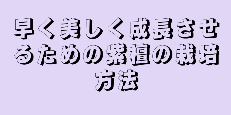 早く美しく成長させるための紫檀の栽培方法