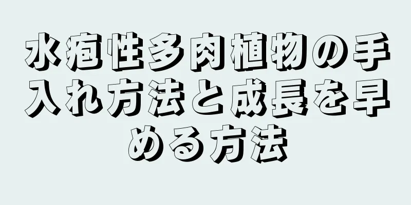 水疱性多肉植物の手入れ方法と成長を早める方法