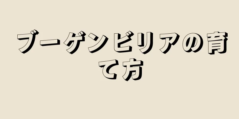 ブーゲンビリアの育て方