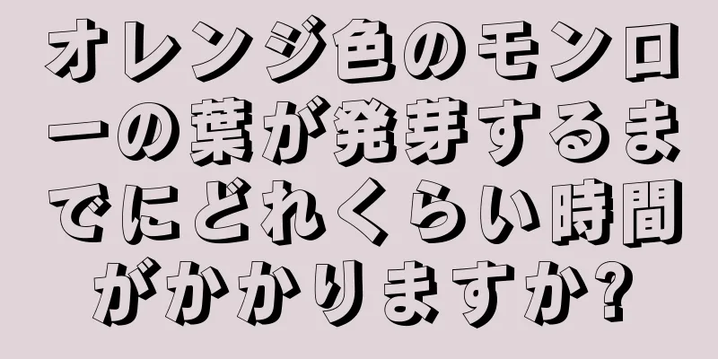 オレンジ色のモンローの葉が発芽するまでにどれくらい時間がかかりますか?