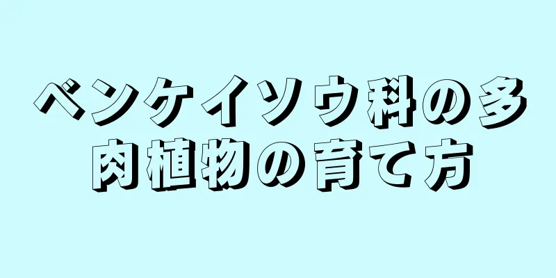 ベンケイソウ科の多肉植物の育て方