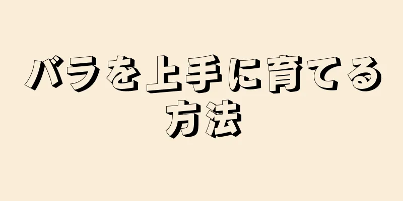 バラを上手に育てる方法