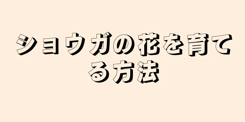 ショウガの花を育てる方法