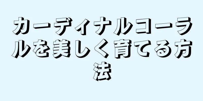 カーディナルコーラルを美しく育てる方法