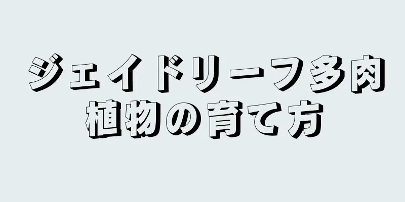 ジェイドリーフ多肉植物の育て方