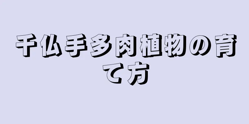 千仏手多肉植物の育て方