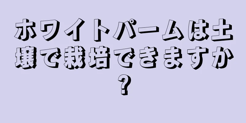 ホワイトパームは土壌で栽培できますか?