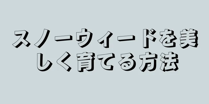 スノーウィードを美しく育てる方法