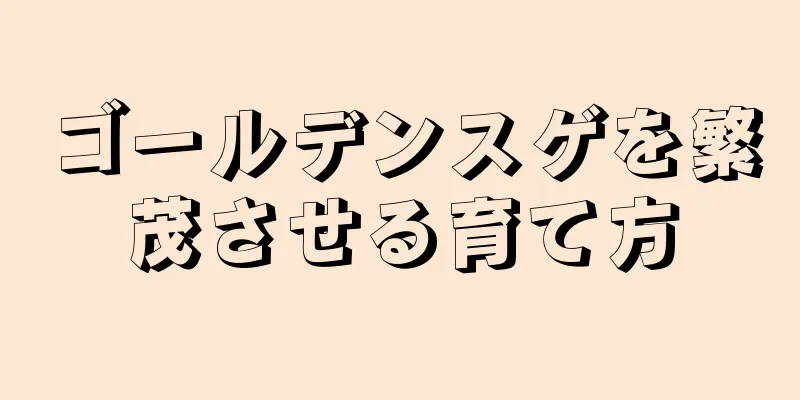 ゴールデンスゲを繁茂させる育て方