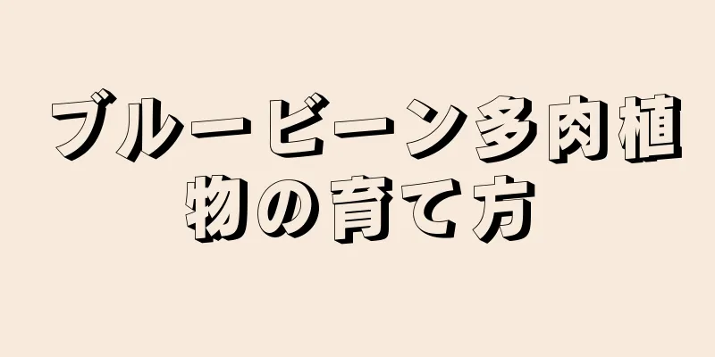 ブルービーン多肉植物の育て方