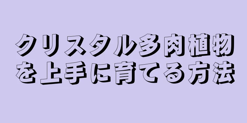 クリスタル多肉植物を上手に育てる方法