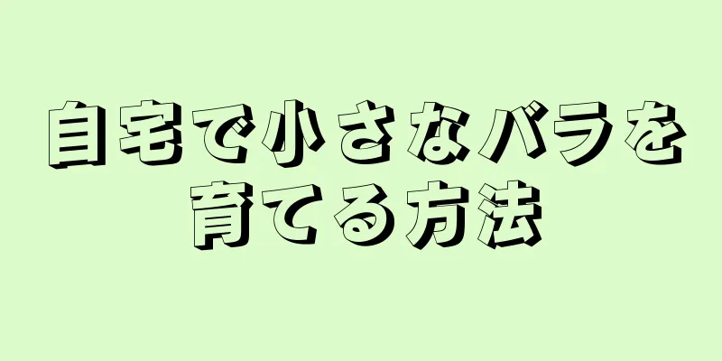 自宅で小さなバラを育てる方法