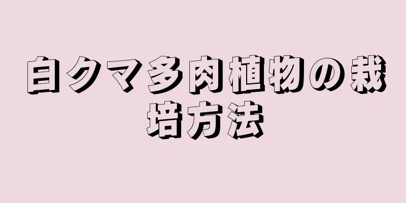 白クマ多肉植物の栽培方法