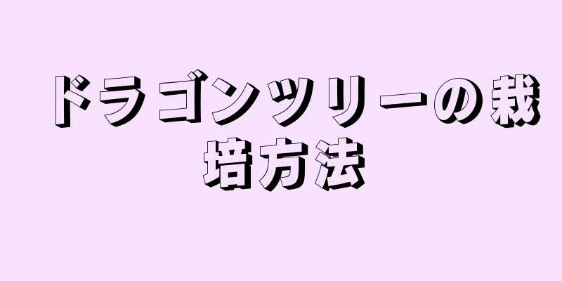 ドラゴンツリーの栽培方法