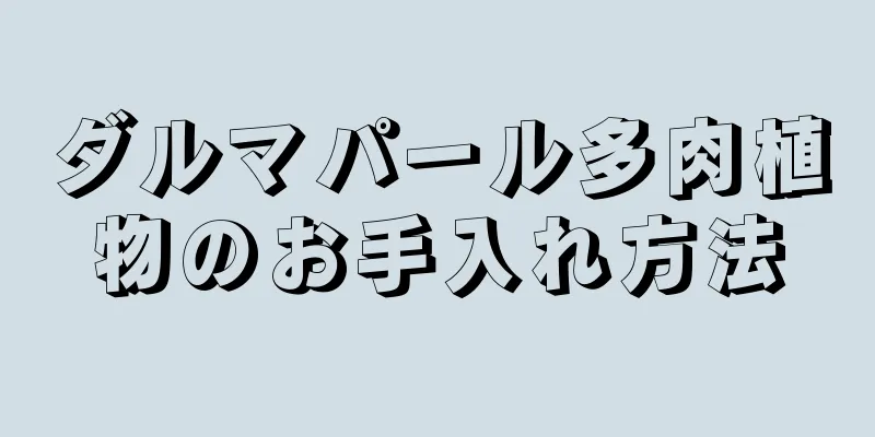ダルマパール多肉植物のお手入れ方法