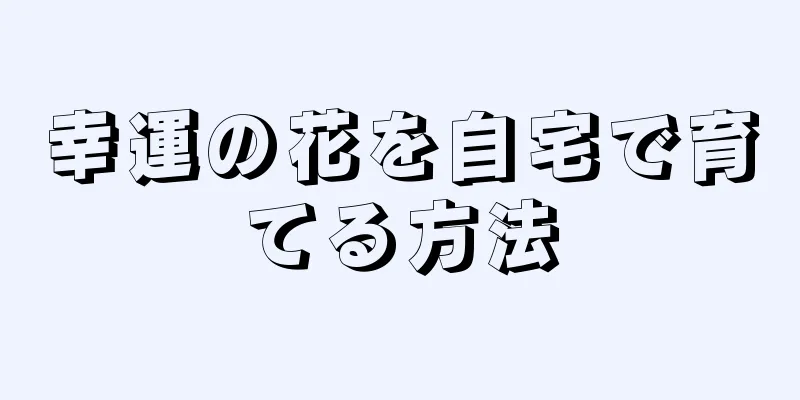 幸運の花を自宅で育てる方法