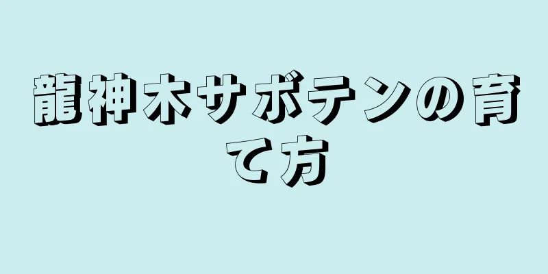 龍神木サボテンの育て方