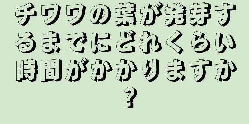 チワワの葉が発芽するまでにどれくらい時間がかかりますか？
