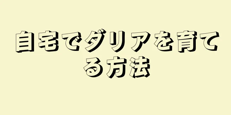 自宅でダリアを育てる方法