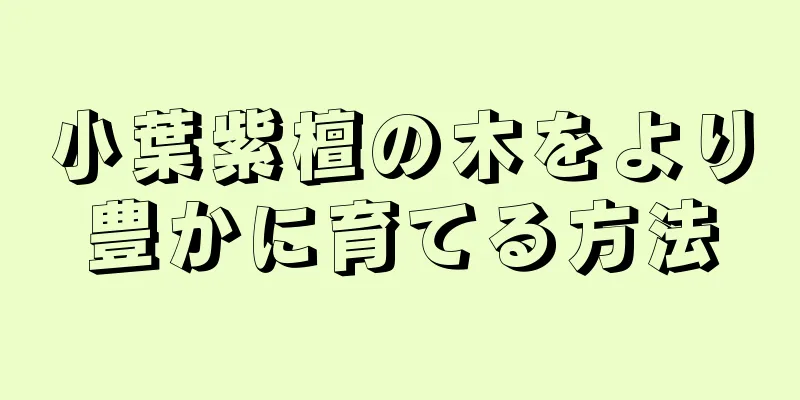 小葉紫檀の木をより豊かに育てる方法